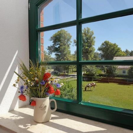 Apartmán Hof Thomsen Gross Kordshagen Exteriér fotografie